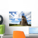 Antigua Wall Decal