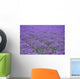 Lavender Field Wall Decal