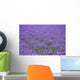 Lavender Field Wall Decal