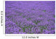 Lavender Field Wall Decal