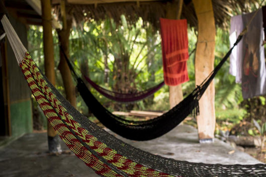 Welcome to Jungle Wall Decal