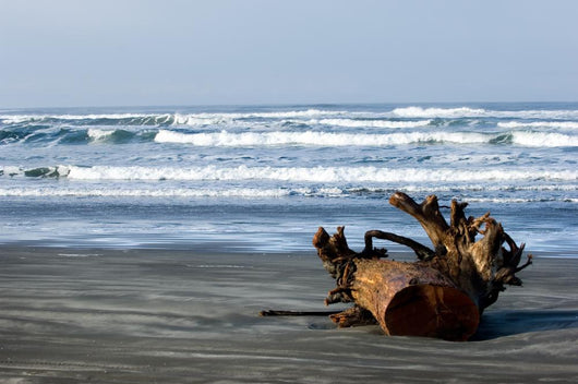 Cannon Beach Wall Decal