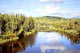 National Park Sigulda Wall Decal