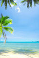 Tropic Scene Wall Decal