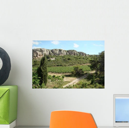 Vine Wall Decal