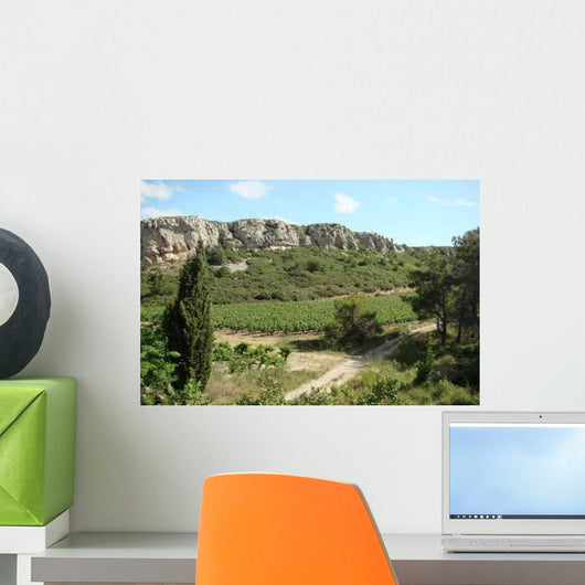 Vine Wall Decal