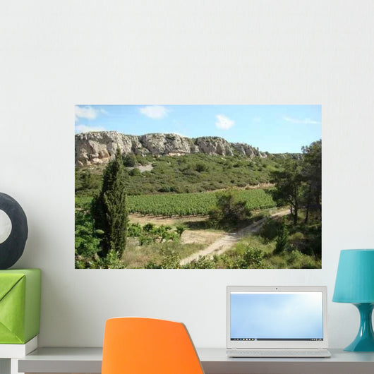 Vine Wall Decal