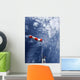 Wind Wall Decal
