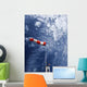 Wind Wall Decal