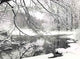 Winter Scene Wall Mural