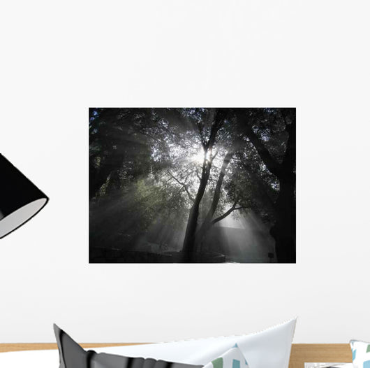 Heavenly Rays Wall Decal