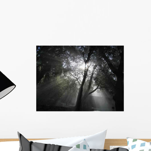 Heavenly Rays Wall Decal