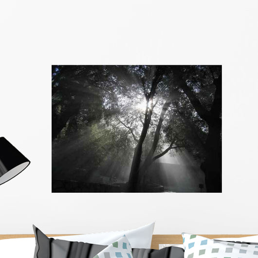 Heavenly Rays Wall Decal