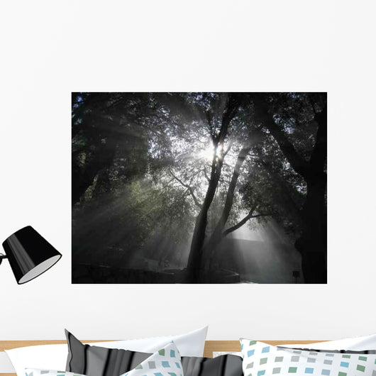 Heavenly Rays Wall Decal