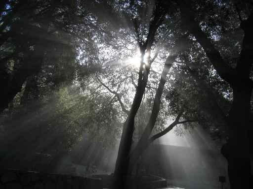 Heavenly Rays Wall Decal