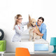 Veterinarian Wall Decal