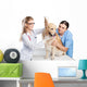 Veterinarian Wall Decal