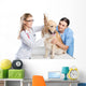 Veterinarian Wall Decal