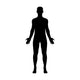 Male Human Body Belonging Wall Decal