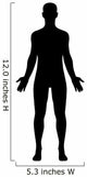 Male Human Body Belonging Wall Decal
