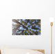 Nature Looking up Forest Wall Decal