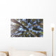 Nature Looking up Forest Wall Decal
