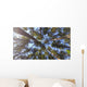Nature Looking up Forest Wall Decal