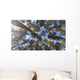 Nature Looking up Forest Wall Decal