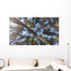 Nature Looking up Forest Wall Decal