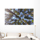Nature Looking up Forest Wall Decal