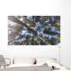 Nature Looking up Forest Wall Decal