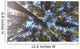 Nature Looking up Forest Wall Decal