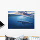 Whale Half Air Wall Decal