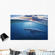 Whale Half Air Wall Decal