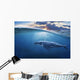 Whale Half Air Wall Decal