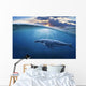 Whale Half Air Wall Decal
