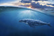 Whale Half Air Wall Decal