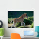 Foal Wall Decal
