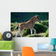 Foal Wall Decal