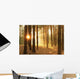 Pines Forest Sunrise Wall Decal