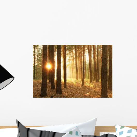 Pines Forest Sunrise Wall Decal