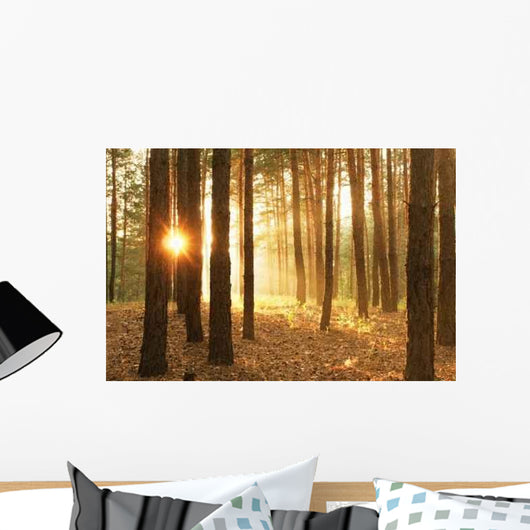 Pines Forest Sunrise Wall Decal