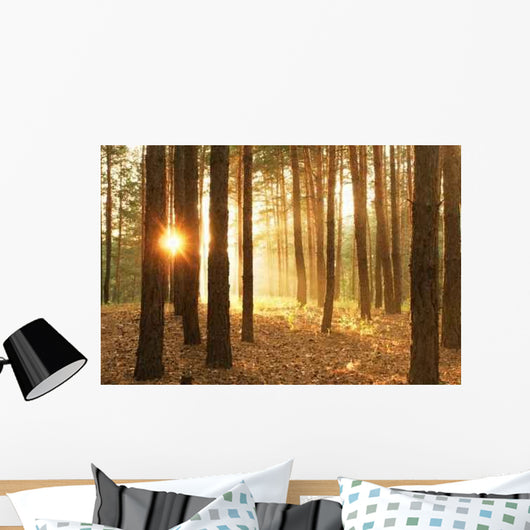 Pines Forest Sunrise Wall Decal