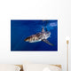 Great White Shark Ready Wall Decal