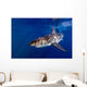 Great White Shark Ready Wall Decal