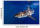 Great White Shark Ready Wall Decal