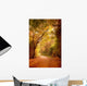 Wonderful Autumn Forest Path Wall Decal