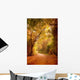 Wonderful Autumn Forest Path Wall Decal