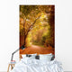 Wonderful Autumn Forest Path Wall Decal