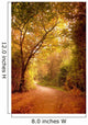 Wonderful Autumn Forest Path Wall Decal
